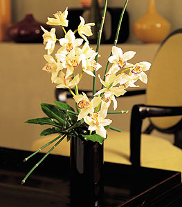  Adyaman iekiler  cam yada mika vazo ierisinde dal orkide