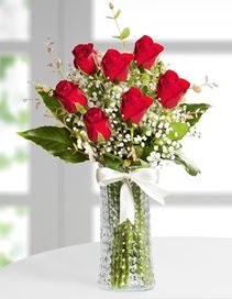 Cam vazoda 7 adet kırmızı gül  Adıyaman çiçek , çiçekçi , çiçekçilik 