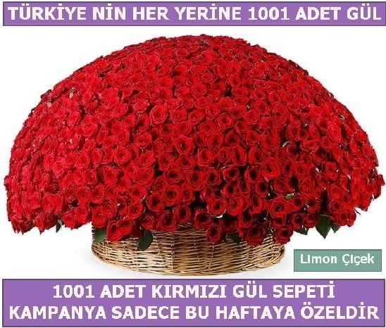 1001 Adet kırmızı gül Bu haftaya özel  Adıyaman İnternetten çiçek siparişi 