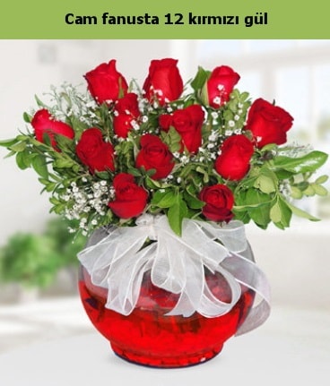 Cam içerisinde 12 adet kırmızı gül  Adıyaman internetten çiçek satışı 