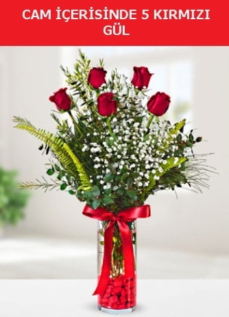 Cam içerisinde 5 adet kırmızı gül  Adıyaman çiçek siparişi sitesi 
